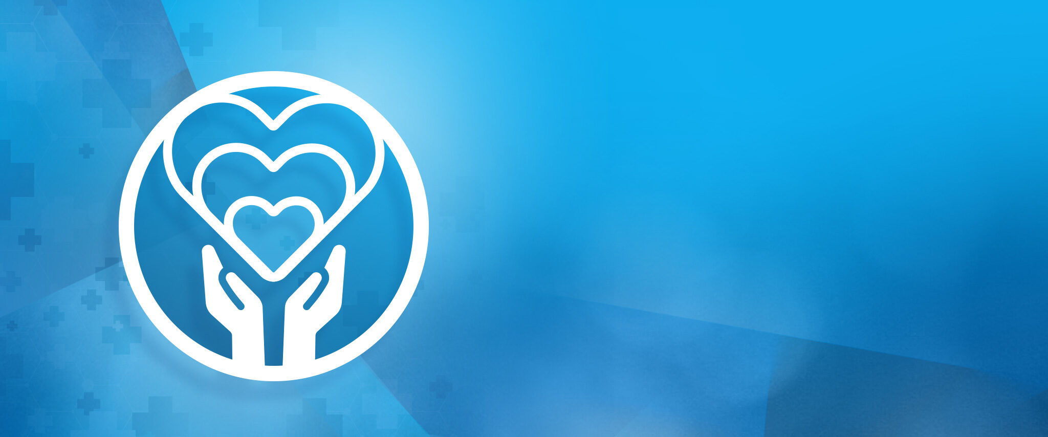 Lsa family medicine continuity icon ir